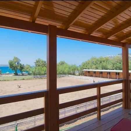 Equestrian And Beach Club Bodrum Bagian luar foto