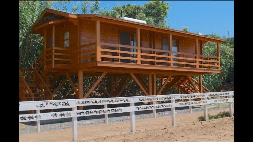 Equestrian And Beach Club Bodrum Bagian luar foto