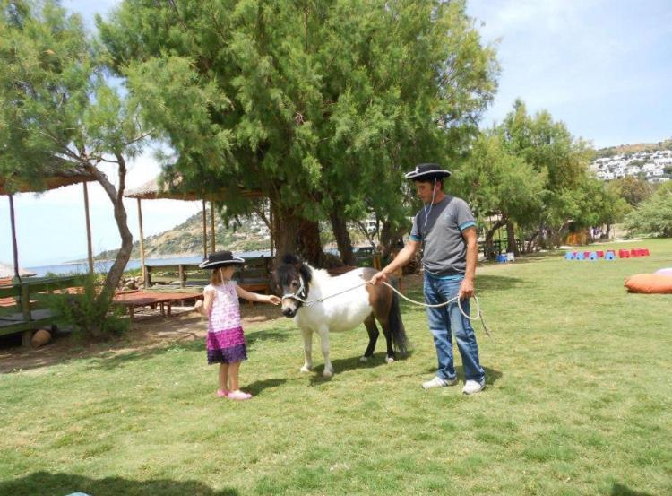 Equestrian And Beach Club Bodrum Bagian luar foto